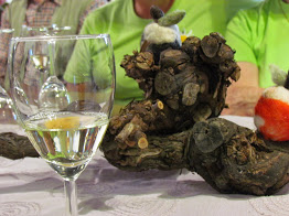 degustacija vin v vinski leti Breznik