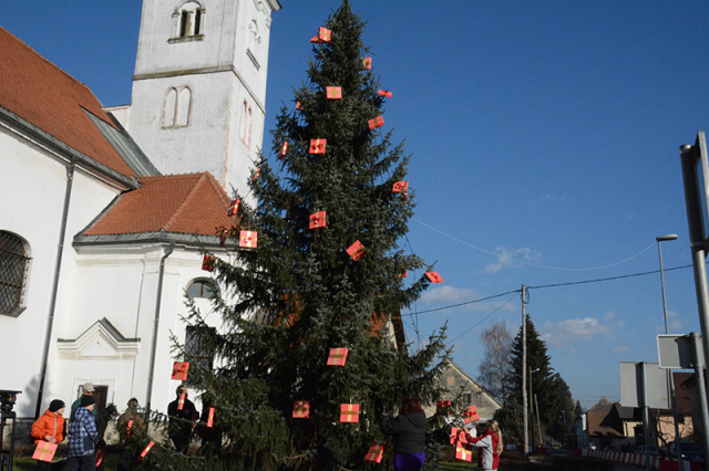 jelka selnica 2013