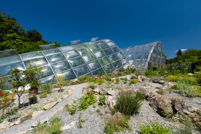 botanischer-garten-17
